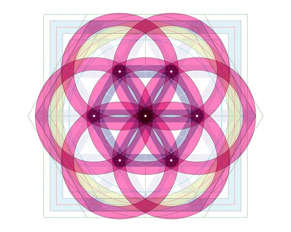seed of life